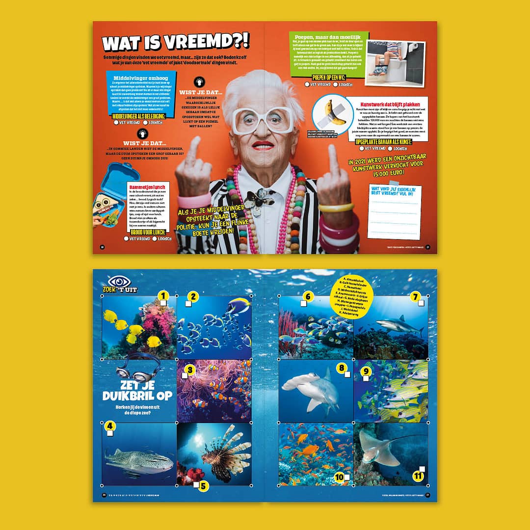 ZZDWebsite7